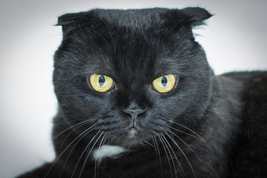 Similar image 22601832