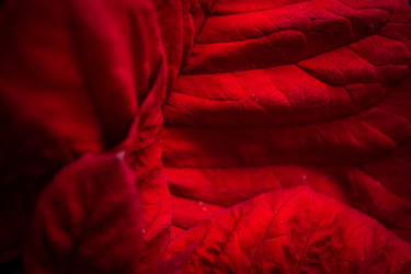 Similar image 22600087