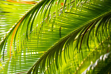 Similar image 22602942