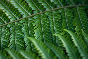 Similar image 22602981