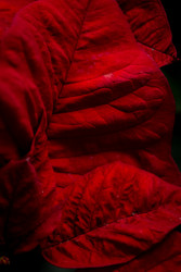 Similar image 22600088