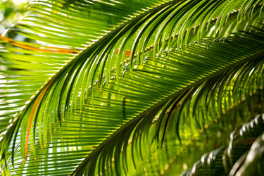 Similar image 22600089