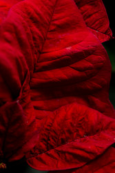 Similar image 22600090