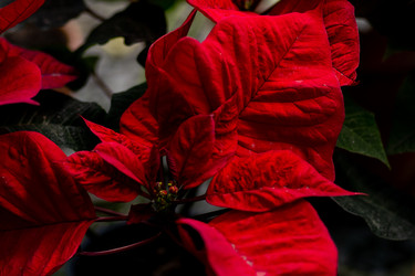 Similar image 22600091