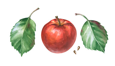 Similar image 22619715