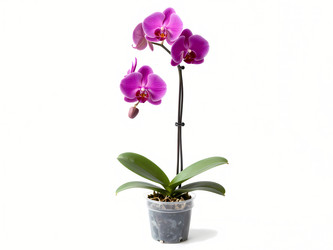 Similar image 22617539