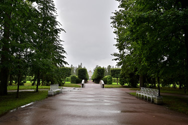 Similar image 22599760