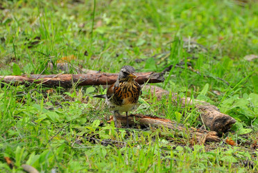 Similar image 22599767