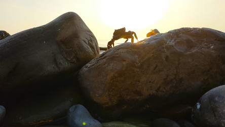 Similar image 22603071