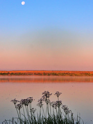 Similar image 22602109