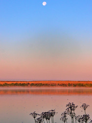 Similar image 22602112