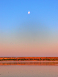 Similar image 22602113