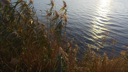 Similar image 22603072