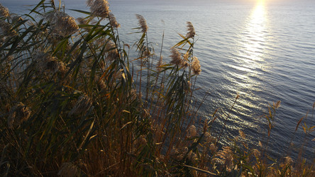 Similar image 22603073