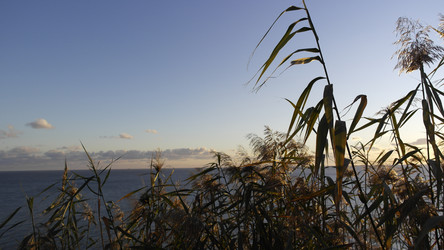 Similar image 22603074