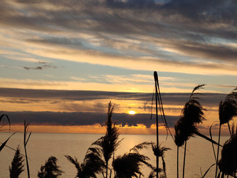 Similar image 22603077