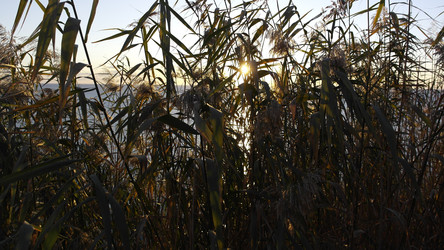 Similar image 22603078