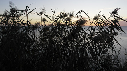 Similar image 22603085