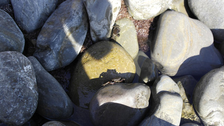 Similar image 22608444