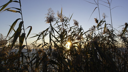 Similar image 22603087