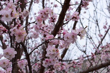 Similar image 22608445