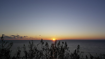 Similar image 22603089