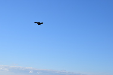 Similar image 22608446