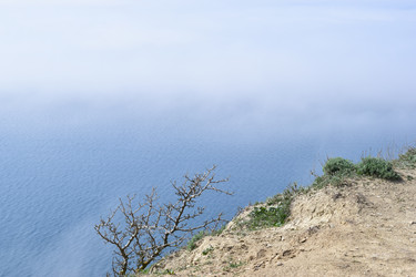 Similar image 22608455