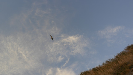 Similar image 22608456