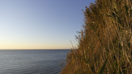 Similar image 22608457