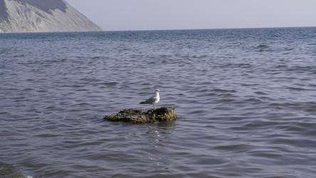 Similar image 22603096