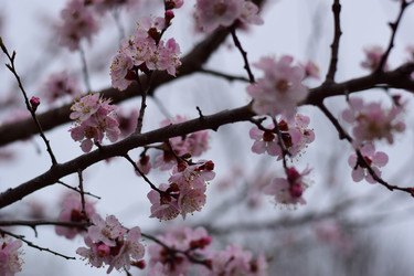 Similar image 22608460