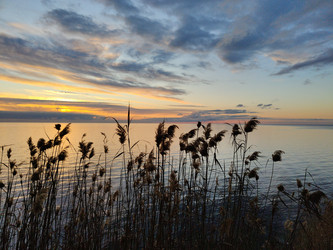 Similar image 22603097