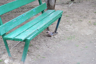 Similar image 22608461