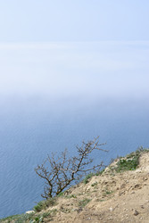 Similar image 22608463