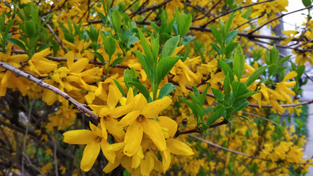 Similar image 22608467