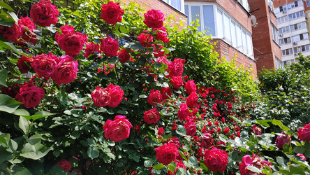 Similar image 22608468