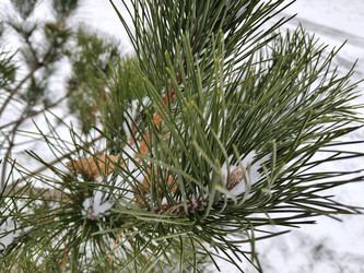 Similar image 22608483