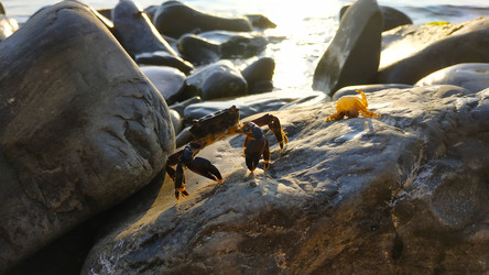 Similar image 22603108