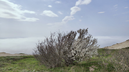 Similar image 22608485