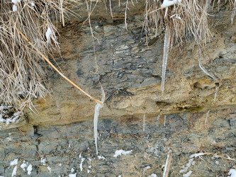 Similar image 22603115