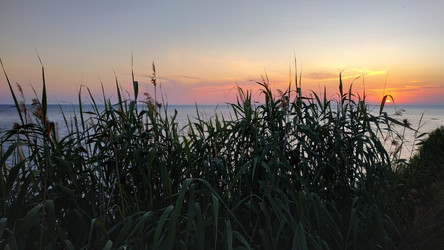 Similar image 22603121