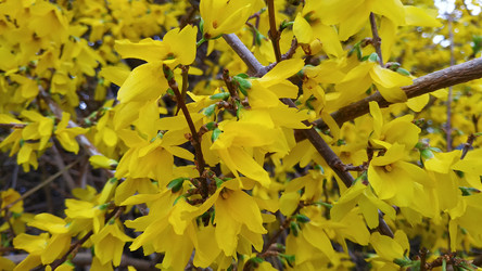 Similar image 22608489