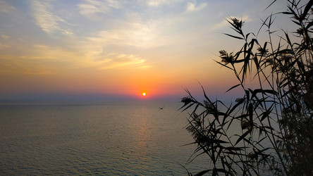 Similar image 22603127