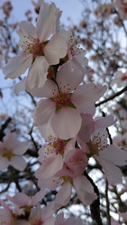 Similar image 22608490