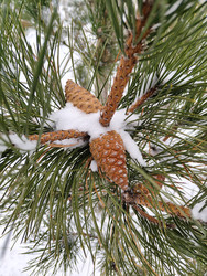 Similar image 22608498