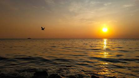 Similar image 22603135