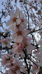 Similar image 22608499