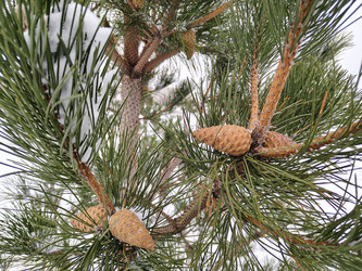 Similar image 22608515