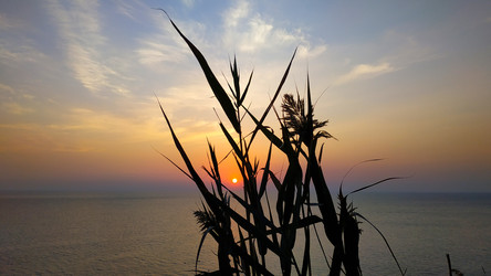 Similar image 22603144